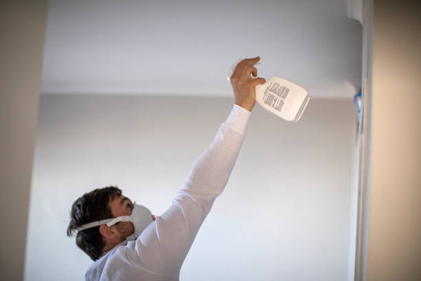 Best Industrial Mold Remediation in Lacoochee, FL