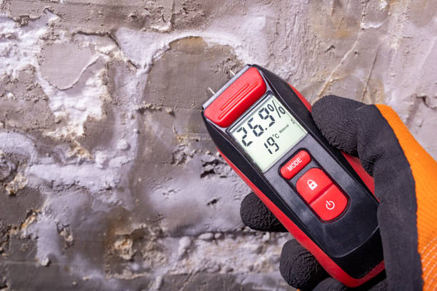 Best Attic Mold Remediation in Lacoochee, FL