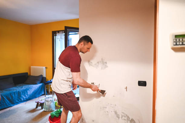 Best Residential Mold Remediation in Lacoochee, FL