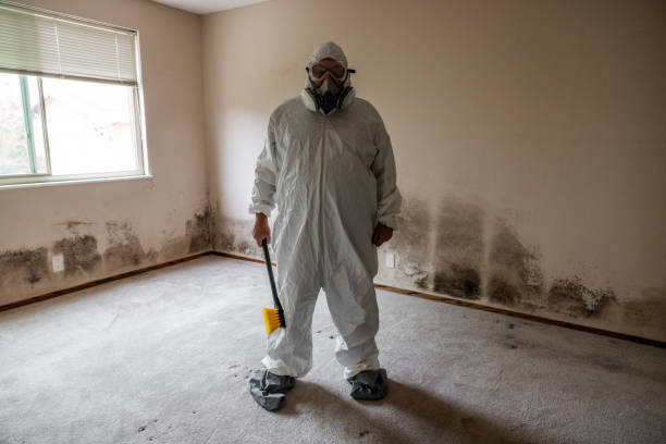 Best Mold Remediation for Specific Building Types in Lacoochee, FL